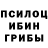Галлюциногенные грибы GOLDEN TEACHER 86cdp1997map