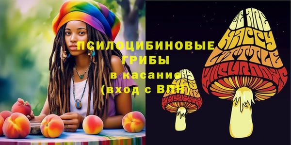 MDMA Беломорск